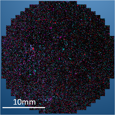 Montaged image of an entire filter holding detected partcles