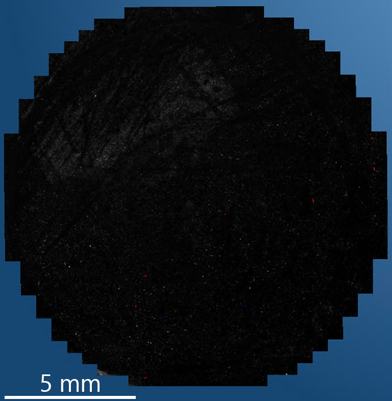 Montage of large area map of AZtecAsbestos covering the entire surface of the sample.  