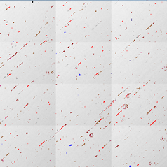 AZtecSteelで鋼中の介在物を調査する - Nanoanalysis - オックスフォード・インストゥルメンツ