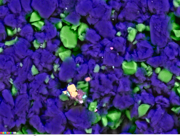 Unity によるBEXイメージング：バッテリー負極材の異物分析