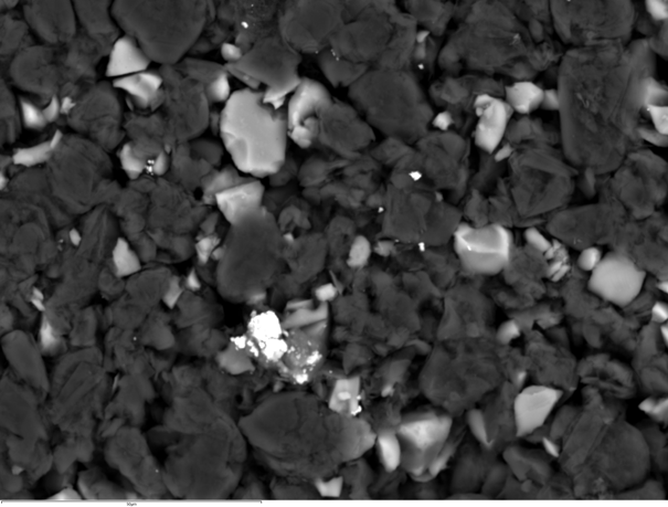 SEMによる 反射電子イメージング：バッテリー負極材の異物分析