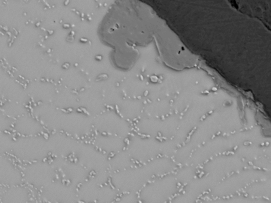 SEMによる 反射電子イメージング：はんだボールにおけるCu-Sn-Au-Ag合金の分布, 12kV