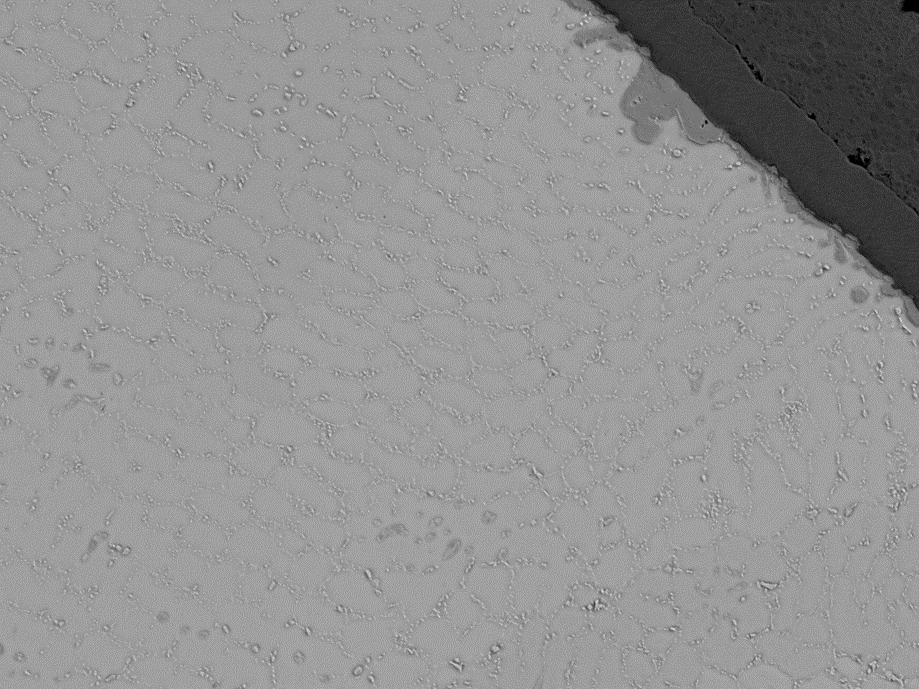 SEMによる 反射電子イメージング：はんだボールにおけるCu-Sn-Au-Ag合金の分布, 12kV