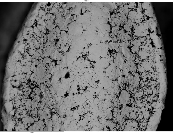 SEMによる 反射電子イメージング：焼結金属ギヤ表面（粉末冶金）　15kV