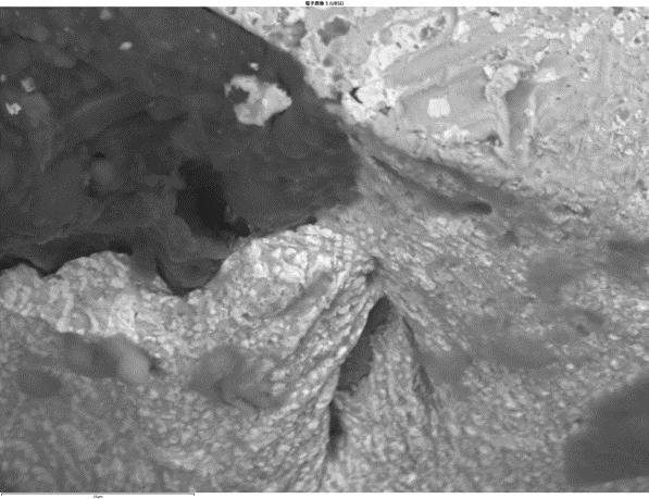 SEMによる 反射電子イメージング：ICチップ　はんだ表面