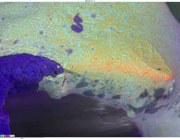 Unity によるBEXイメージング：ICチップ　はんだ表面