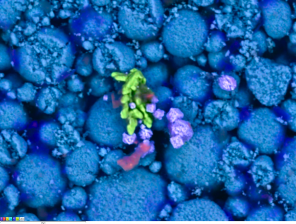 Unity によるBEXイメージング：バッテリー正極材の異物分析