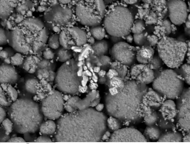 SEMによる 反射電子イメージング：バッテリー正極材の異物分析