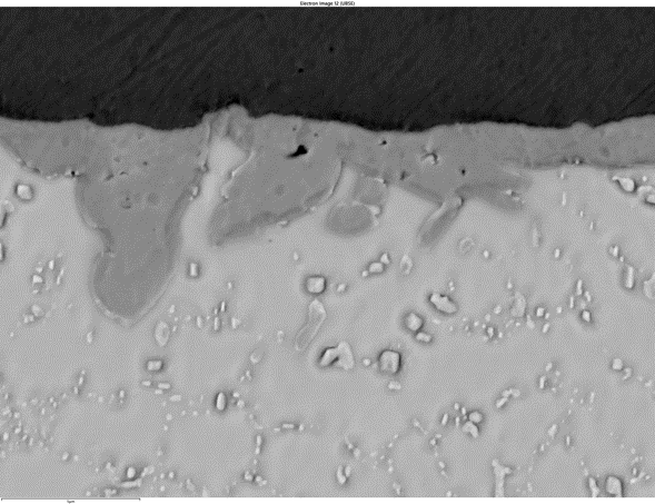 SEMによる 反射電子イメージング：はんだボールにおけるCu-Sn-Au-Ag合金の分布, 12kV