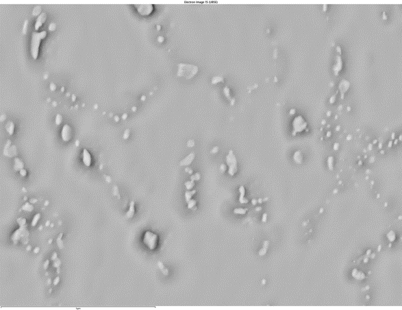 SEMによる 反射電子イメージング：はんだボールにおけるCu-Sn-Au-Ag合金の分布, 12kV