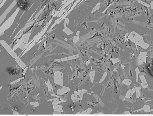 SEMによる 反射電子イメージング：コンクリート　構造観察