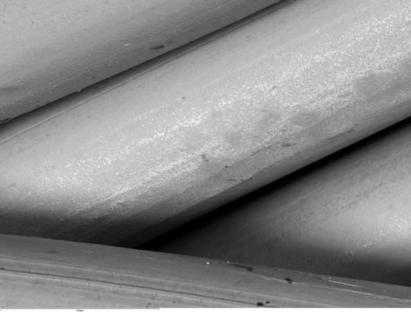 SEMによる 反射電子イメージング：編込金属線