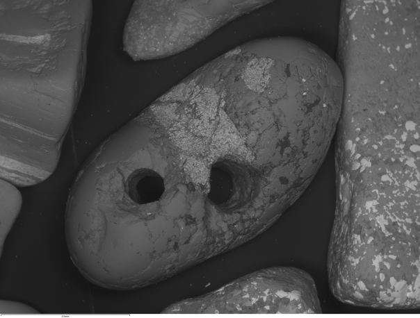 SEMによる 反射電子イメージング：ターコイズなど　低倍率にて、高解像度/高品質イメージの収集