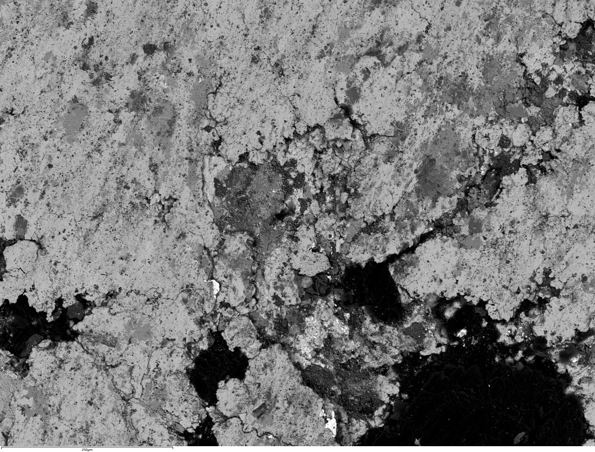 SEMによる 反射電子イメージング：ブレーキパッド（高温焼結）