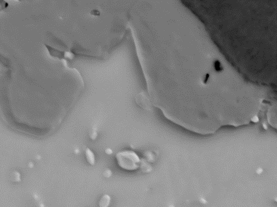 SEMによる 反射電子イメージング：はんだボールにおけるCu-Sn-Au-Ag合金の分布, 12kV