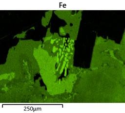 Fe