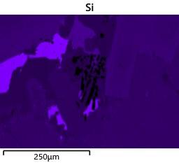 Si