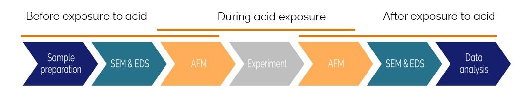 Workflow for studying acid digestion of teeth
