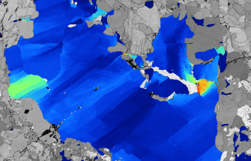 Subgrains in a deformed olivine grain