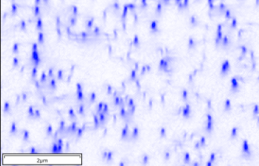 Threading dislocations in a GaN thin film