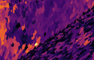 Structures in a calcite-aragonite mollusc shell